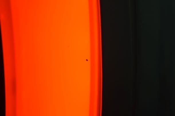 54443167C57_2